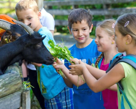 Kinderbetreuung